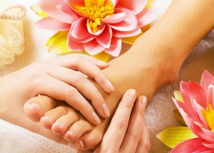 Hotel Weingut Schreieck Vinotel & Gutshaus